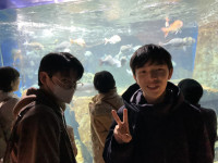 4CCB2212350EC04BA85C87CDAEB79FA565744D4E