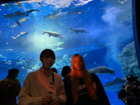 36579E948A82CEF23F7E8B15F06CC4E05EE750DE