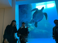 77CBB04F3371B5D634479AD59D2D8C7ED45D58EE