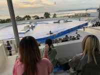 498BD72EA85974FBC8BD1C8BA2D1C0D792B452DF