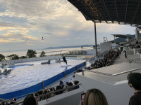 947AA3B831822C69818B7413D52E8C7700FC44AE