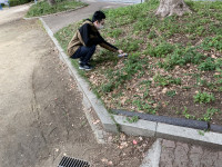 493CDEA4B850800B0559008924D740FD41E6E3CC