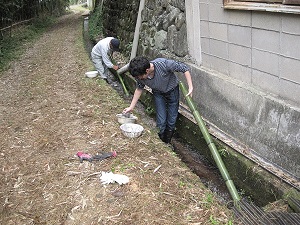 切った竹を木を燃やした灰で洗いました。